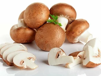 Грибні блоки печериці