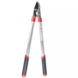 Гілкорізи Гілкорізи