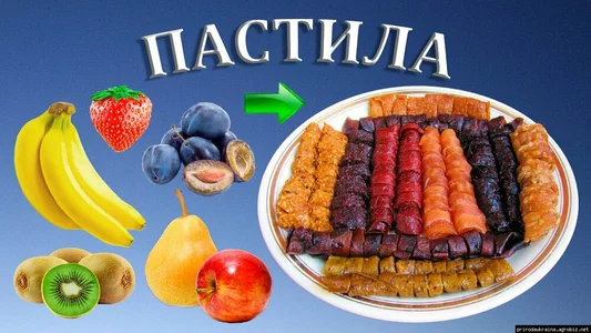 Сушарки Сушарки
