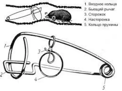 Засоби боротьби з крітами, пацюками, мишами Засоби боротьби з крітами, пацюками, мишами