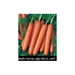 Морковь Смирна 2 гр