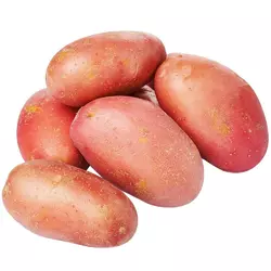  Картопля насіннева Тірас
