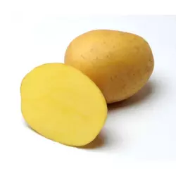 Картофель семенной ультраранний Аннушка