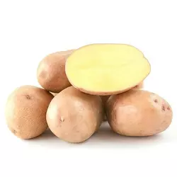  Картопля насіннева Мирослава