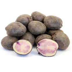 Картопля насінева   Марфуша (1 репродукція)