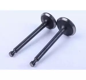 Клапаны, к-т: 2 шт. - 177F Клапаны, к-т: 2 шт. - 177F