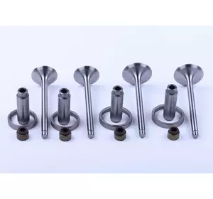 Клапана, к-т TY2100 Xingtai 244 Клапана, к-т TY2100 Xingtai 244