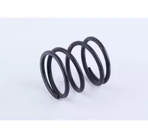 Пружина дифференциала - КПП/6 Пружина дифференциала - КПП/6