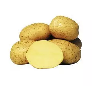  Картопля насіннева Рів"єра 