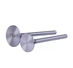 Клапаны TTG на дизельный двигатель 190N, к-т: 2 шт. Клапаны TTG на дизельный двигатель 190N, к-т: 2 шт.