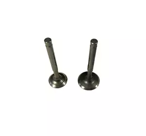 Набір клапанів ТАТА до  генератора  1.8KW/2.0KW Набір клапанів ТАТА до  генератора  1.8KW/2.0KW