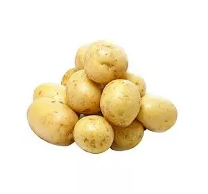 Картопля насіннева  Карелія (1 репродукція ) Картопля насіннева  Карелія (1 репродукція )