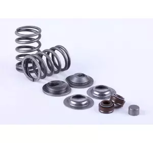 Клапанный механизм, к-т на 2 клапана - 177F Клапанный механизм, к-т на 2 клапана - 177F