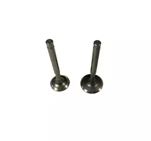 Клапаны ТАТА на генератор 1.8KW/2.0KW, к-т: 2 шт. Клапаны ТАТА на генератор 1.8KW/2.0KW, к-т: 2 шт.