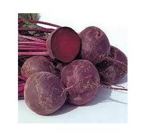 Буряк столовий Акела F1 200 шт Буряк столовий Акела F1 200 шт