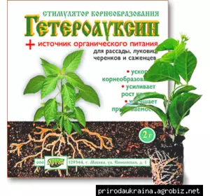 Гетероауксин 2 таблетки по 0.1 г Гетероауксин 2 таблетки по 0.1 г