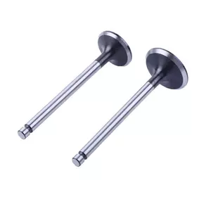 Клапаны ТАТА на дизельный двигатель 190N, к-т: 2 шт. Клапаны ТАТА на дизельный двигатель 190N, к-т: 2 шт.