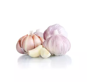 Часник озимий посадковий Любаша фракція 7+ см(крупний) Часник озимий посадковий Любаша фракція 7+ см(крупний)