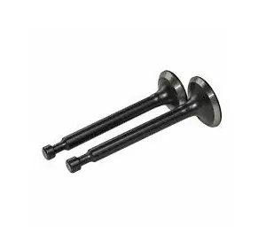 Клапани двигуна  168F /170F Клапани двигуна  168F /170F