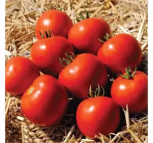 Томат Мамако F1 Томат Мамако F1