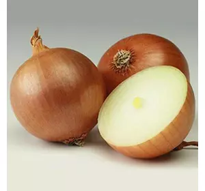 Цибуля -сівок Триумф (Triumfus Onion Products) Цибуля -сівок Триумф (Triumfus Onion Products)