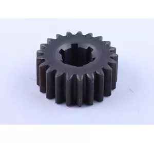 Шестерня КПП Z-6/21 Xingtai 24B, Shifeng 244,Taishan 24 Шестерня КПП Z-6/21 Xingtai 24B, Shifeng 244,Taishan 24