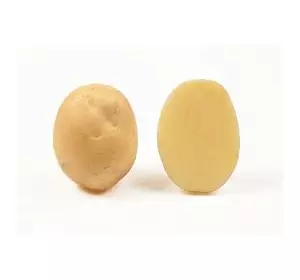 Картофель посевной ультраранний Орла Картофель посевной ультраранний Орла