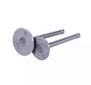 Клапаны ТАТА, к-т 2 шт. - 173D Клапаны ТАТА, к-т 2 шт. - 173D