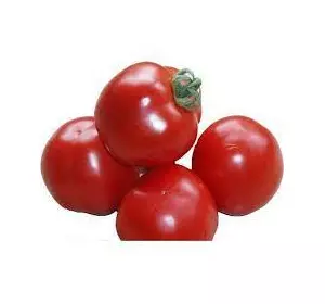 Томат ШАСТА F1 (SHASTA F1) 10 насінин Томат ШАСТА F1 (SHASTA F1) 10 насінин