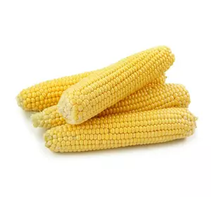 Кукурудза цукрова  Мегатон F1  30 г Кукурудза цукрова  Мегатон F1  30 г