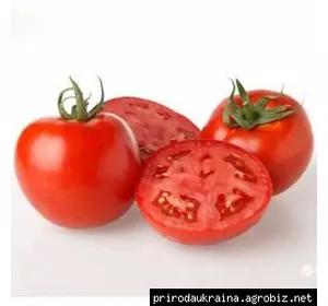 Томат Махітос F1 8 насінин  Томат Махітос F1 8 насінин