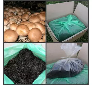 Сімейний ЕКО-комплект для вирощування грибів Шампіньйон королівський