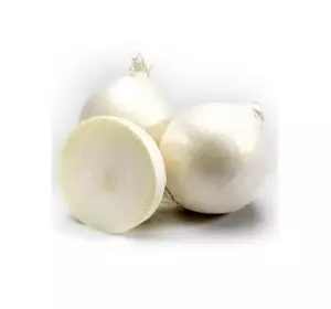 Цибуля озима Сноубол Цибуля озима Сноубол