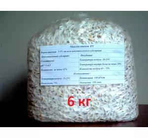 Міцелій грибів глива на зерновому субстраті 6 кг