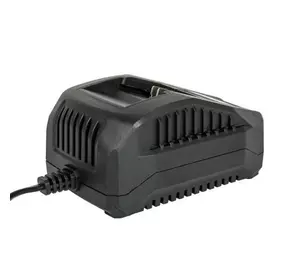 Зарядний пристрій для акумуляторів Vitals Master LSL 1824P SmartLine Зарядний пристрій для акумуляторів Vitals Master LSL 1824P SmartLine