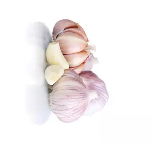 Часник озимий посадковий Любаша фракція 7+ см Часник озимий посадковий Любаша фракція 7+ см