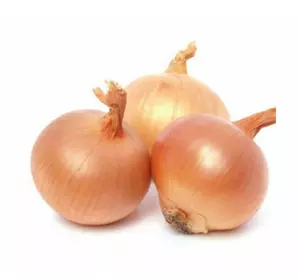 Цибуля-сівок озима Трой Цибуля-сівок озима Трой