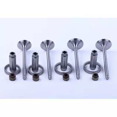 Клапана, к-т TY2100 Xingtai 244