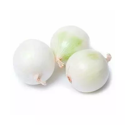 Цибуля сівок Сноубол