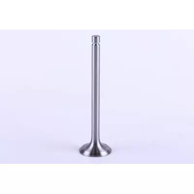 Клапан впускной 4L22BT
