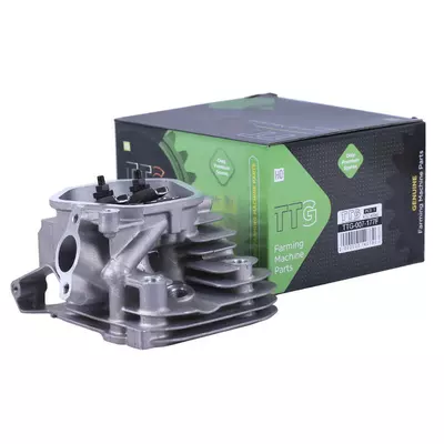 Головка блока в сборе - 177F - TTG