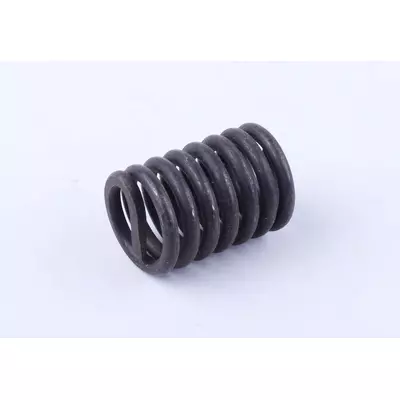 Пружина кручения регулятора DLH1100
