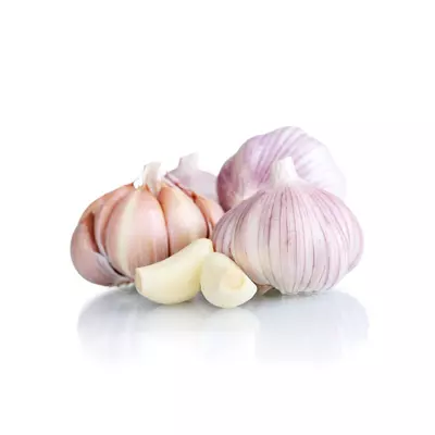 Часник озимий  Любаша 5+ см