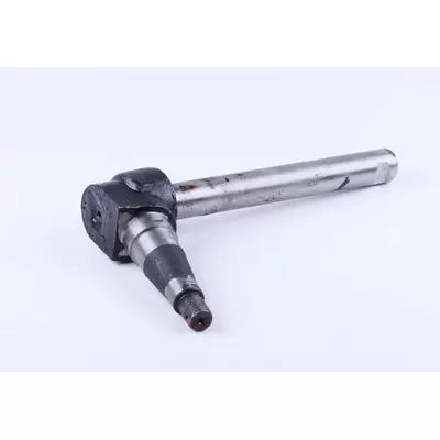 Цапфа поворотная в сборе DongFeng