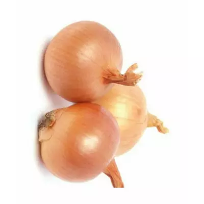 Цибуля -сівок озима Трой